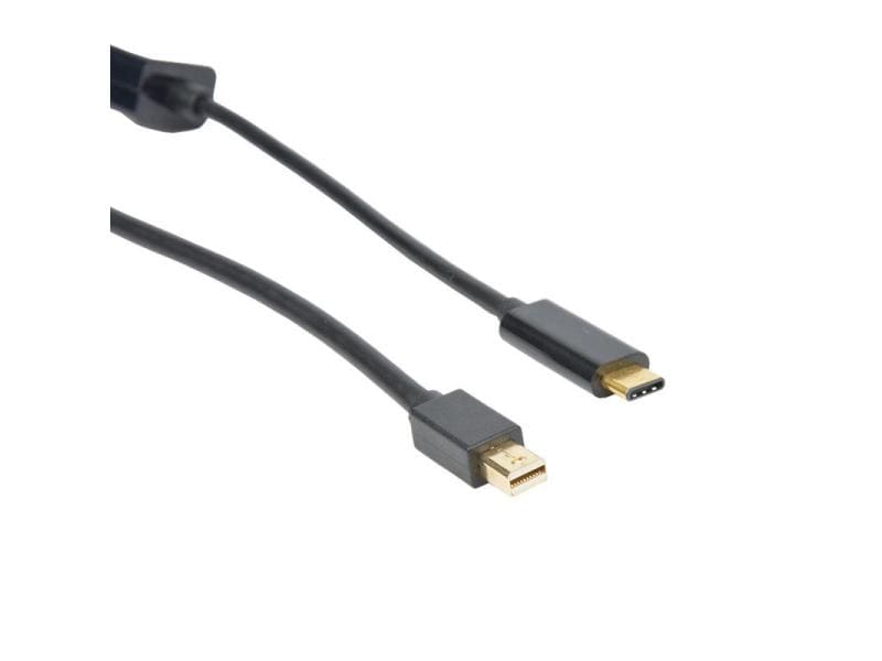 LMP Kabel USB Type-C - Mini-DisplayPort, 1.8 m Video-Kabel