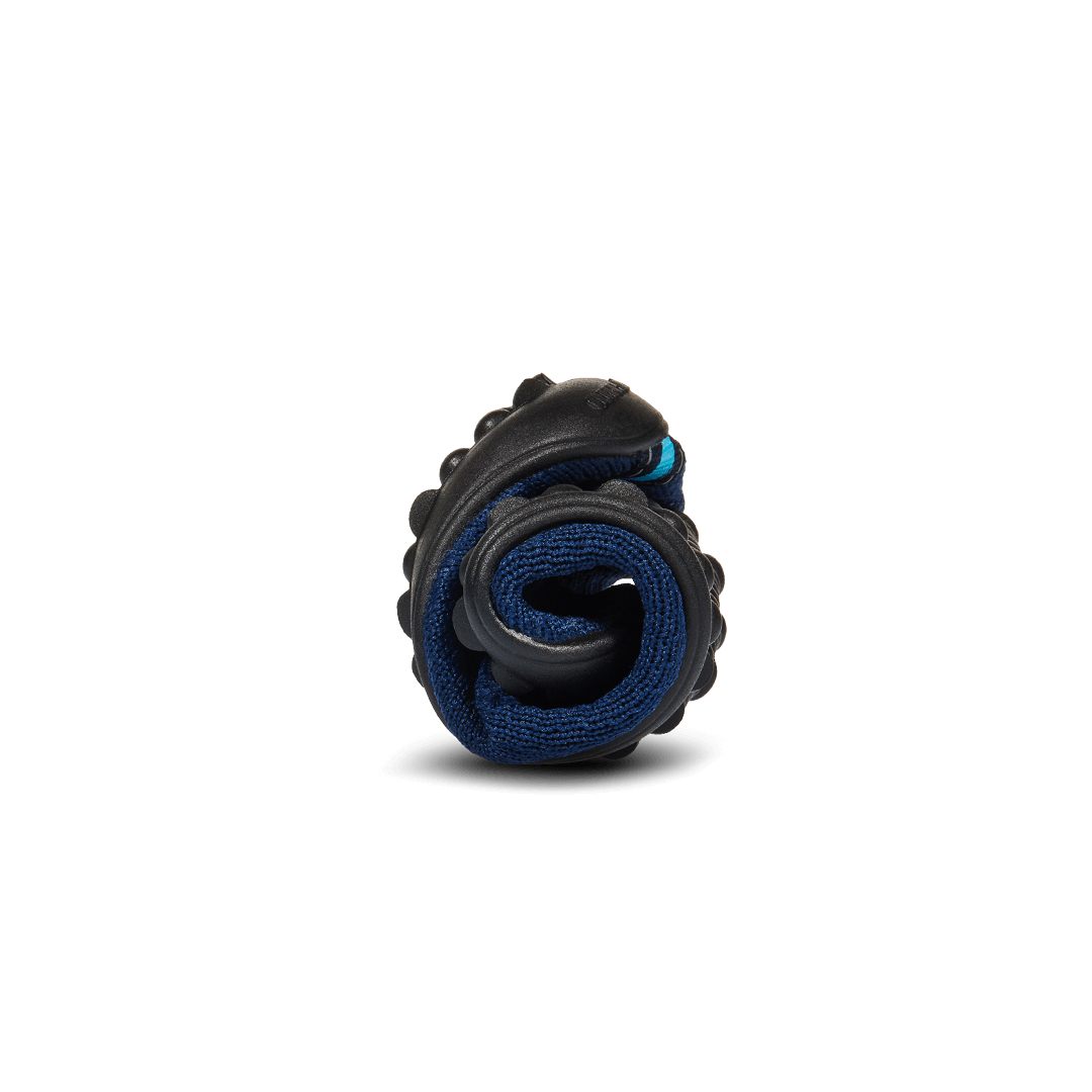 leguanito scio blue