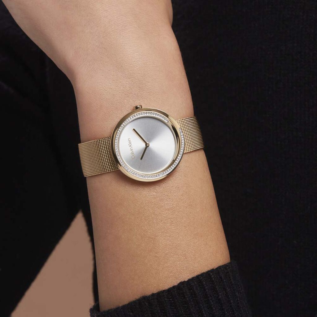 Montre Calvin Klein Twist Argenté