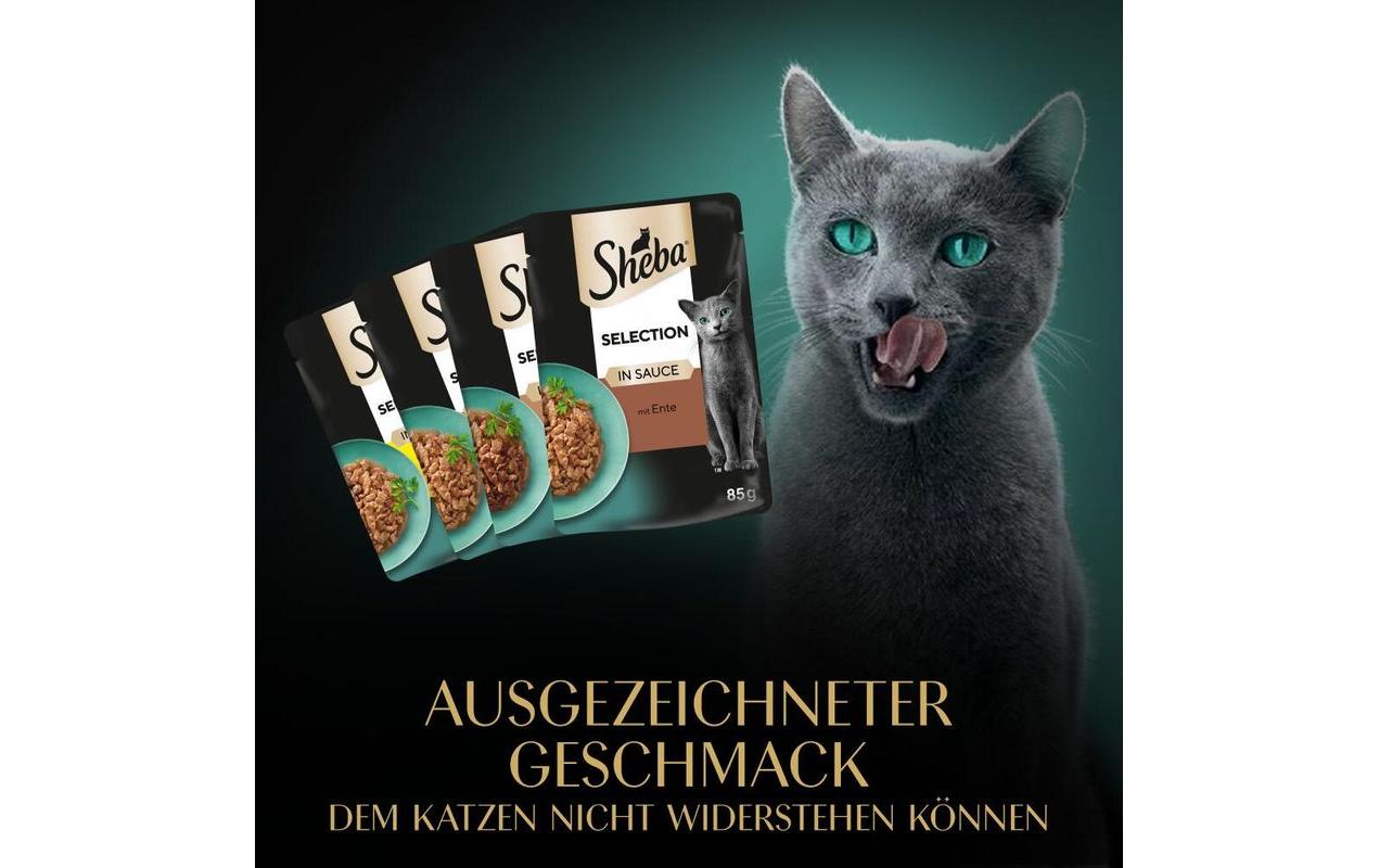 Nassfutter Selection Sauce Geflügel Variation, 4 x 85gAlleinfuttermittel für ausgewachsene Katzen