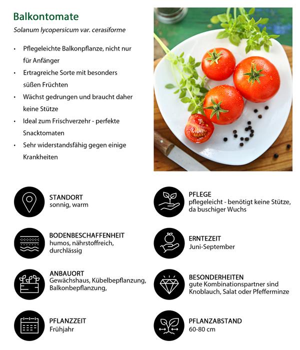Gemüse-Set Tomatengenuss, 6-teilig