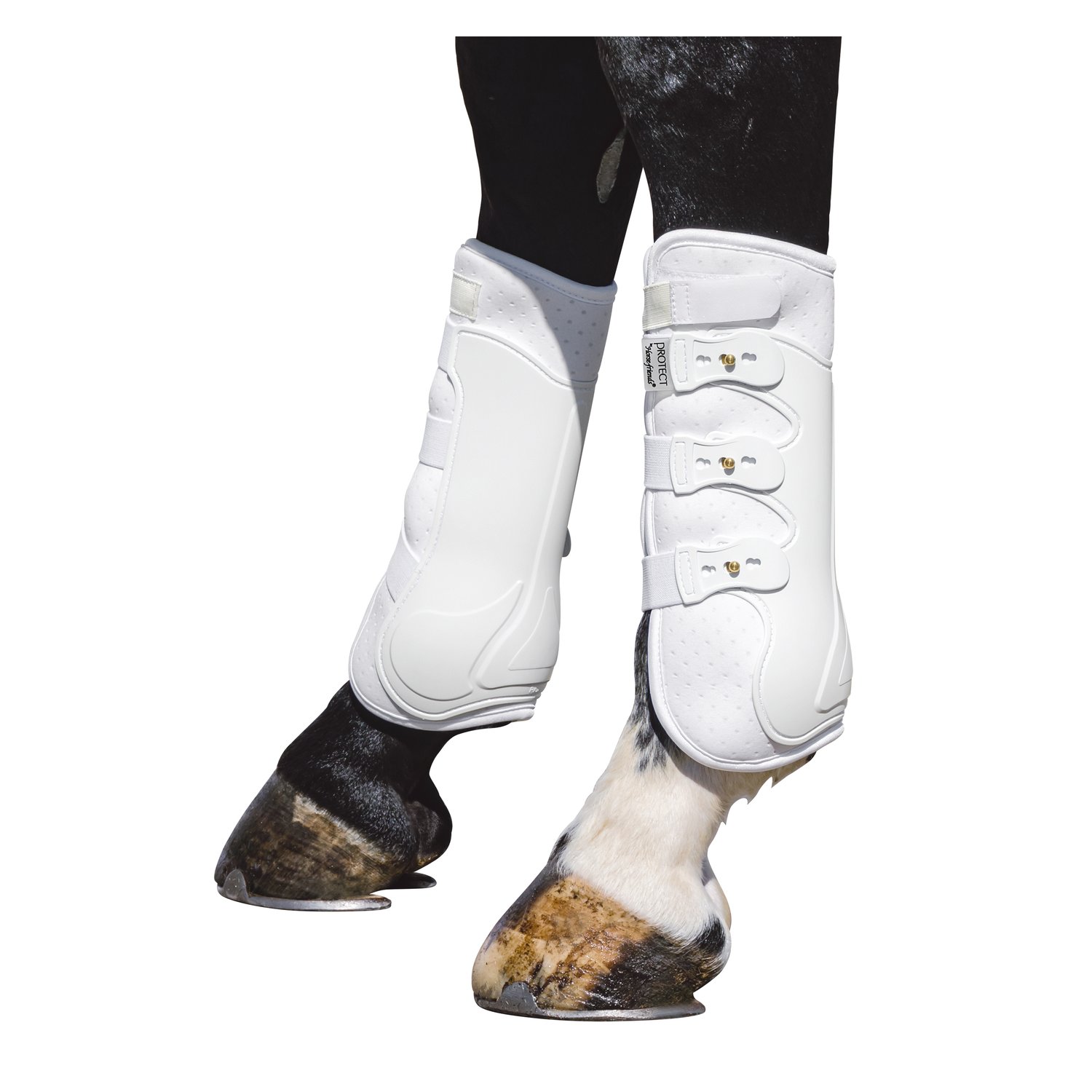 PROTECT by Horse-friends Dressurgamaschen Amadora H, hinten  - weiß