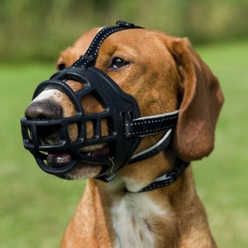 focinheira preta para cachorro
