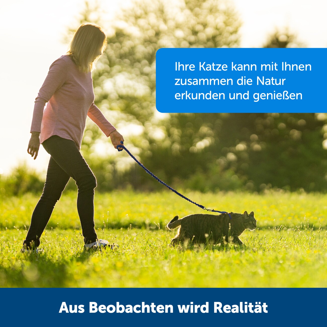 PetSafe Easy Walk Katzengeschirr rot S