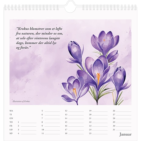 Kalender 2026 - Danmarks blomster
