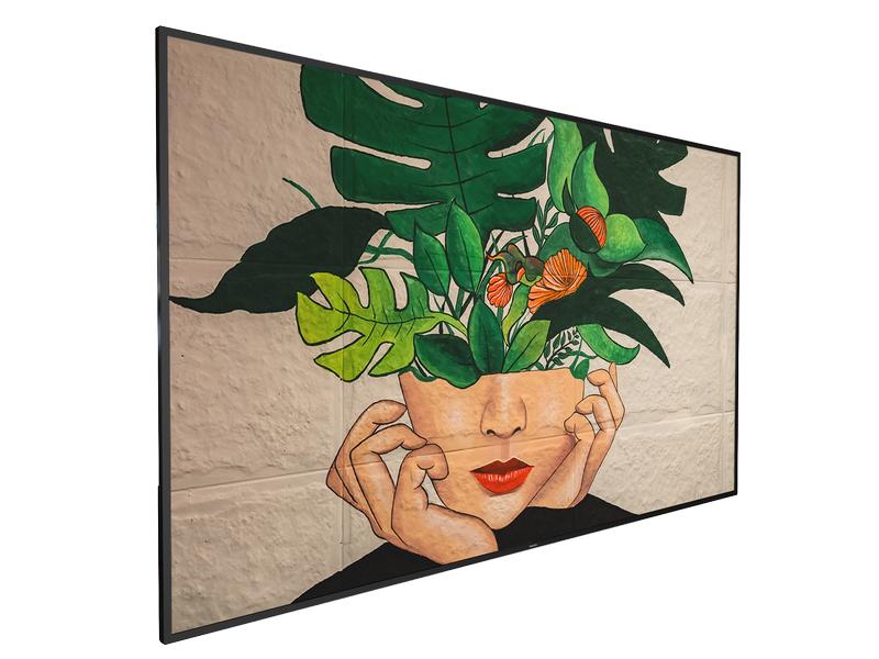 Philips Public Display D-Line 86BDL4511D/00 86 
