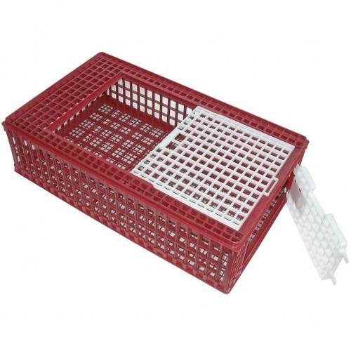 Transportador de pássaros vermelho e branco