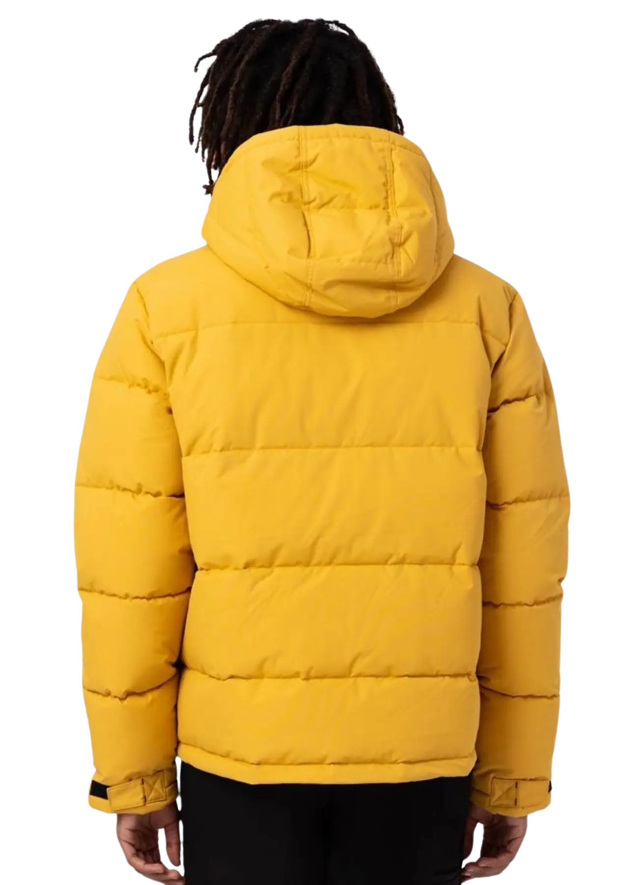 Dickies Glacier View Puffer Jakke | SkatePro