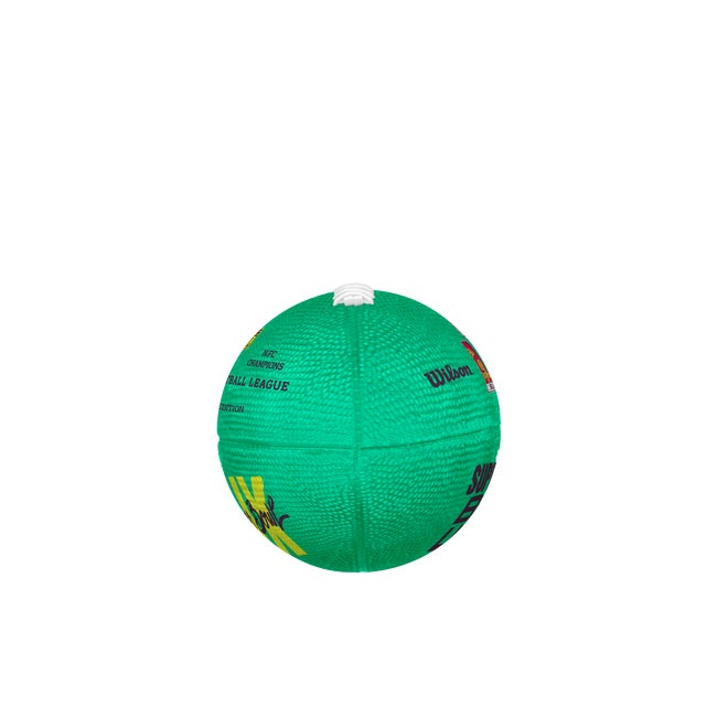 Super Bowl LIX Junior All-Weather Football
