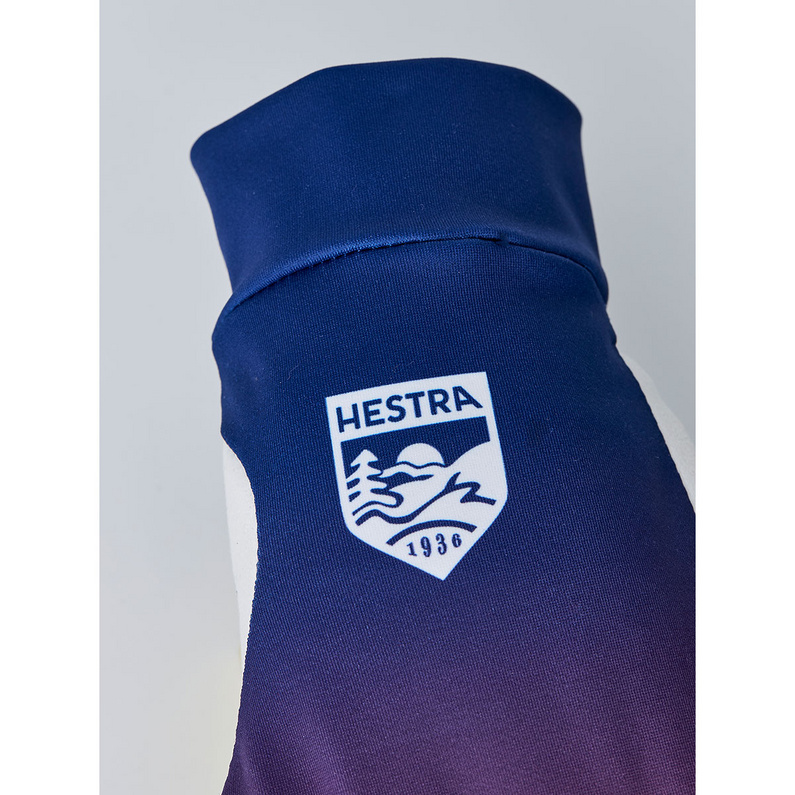 Hestra Infinium Momentum Handschuhe