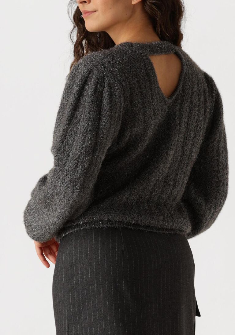 grijze aaiko trui femme pes 377