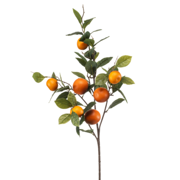 Sinaasappel fruit spray 80cm