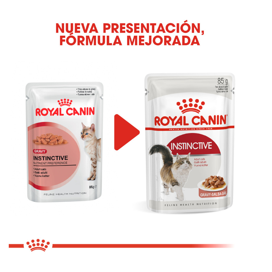 Sachês Royal Canin Instinctive em molho para gatos