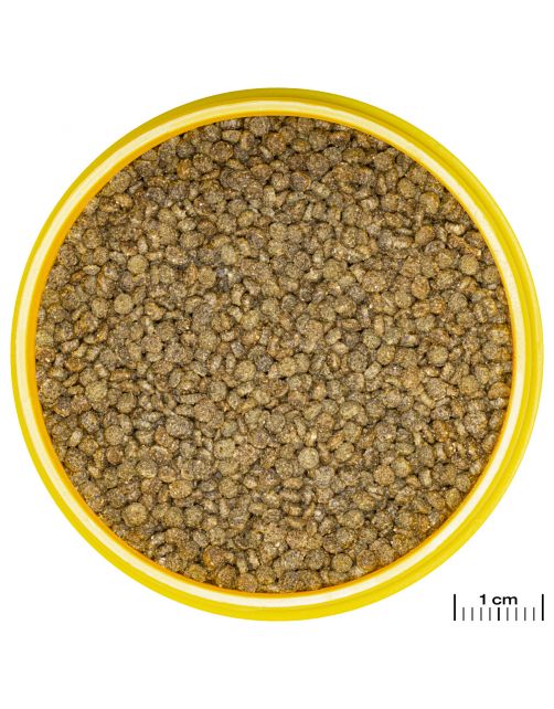 Jbl Pronovo Gourami Grano Click - Vissenvoer - 250 ml S