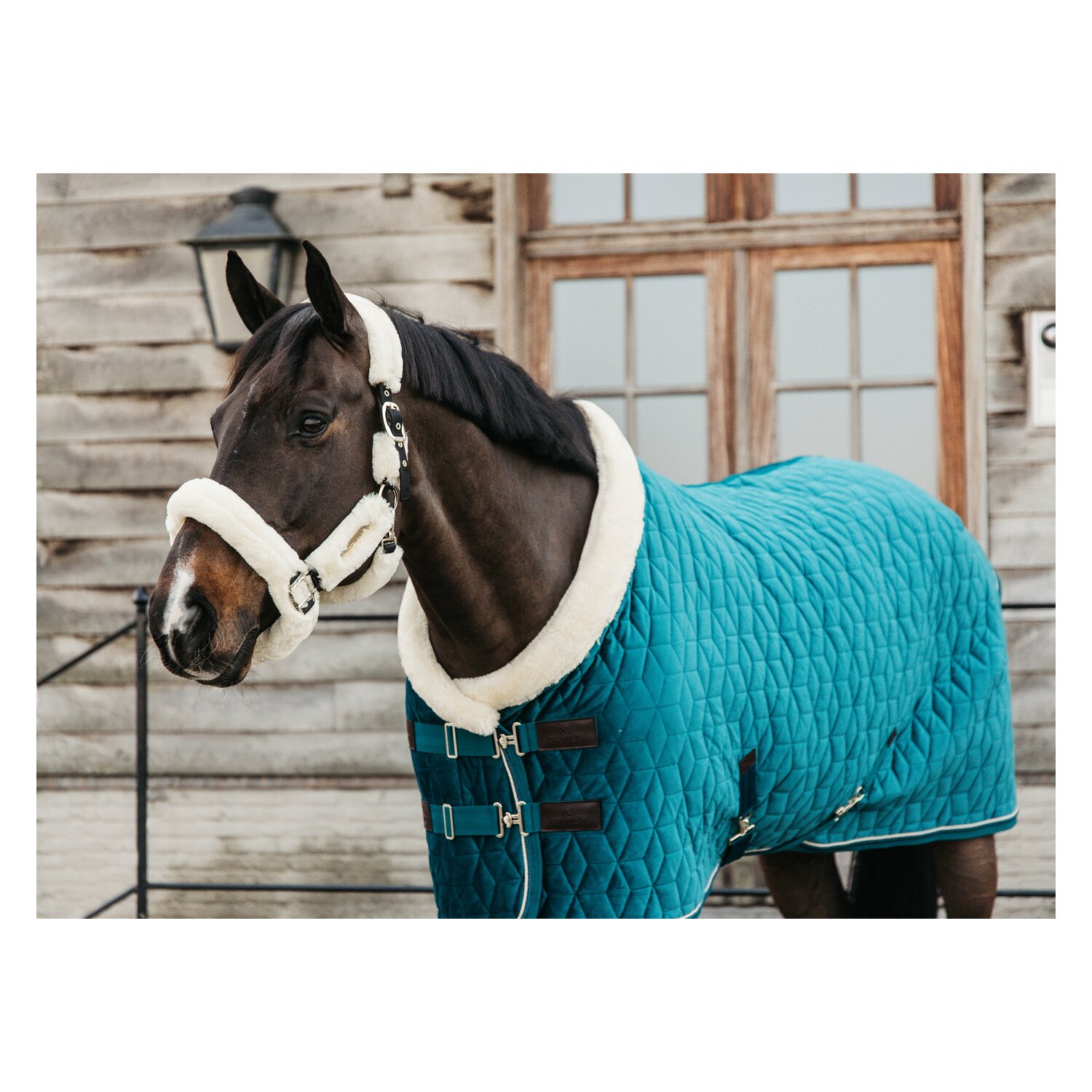 KENTUCKY Show Rug Velvet  - emerald