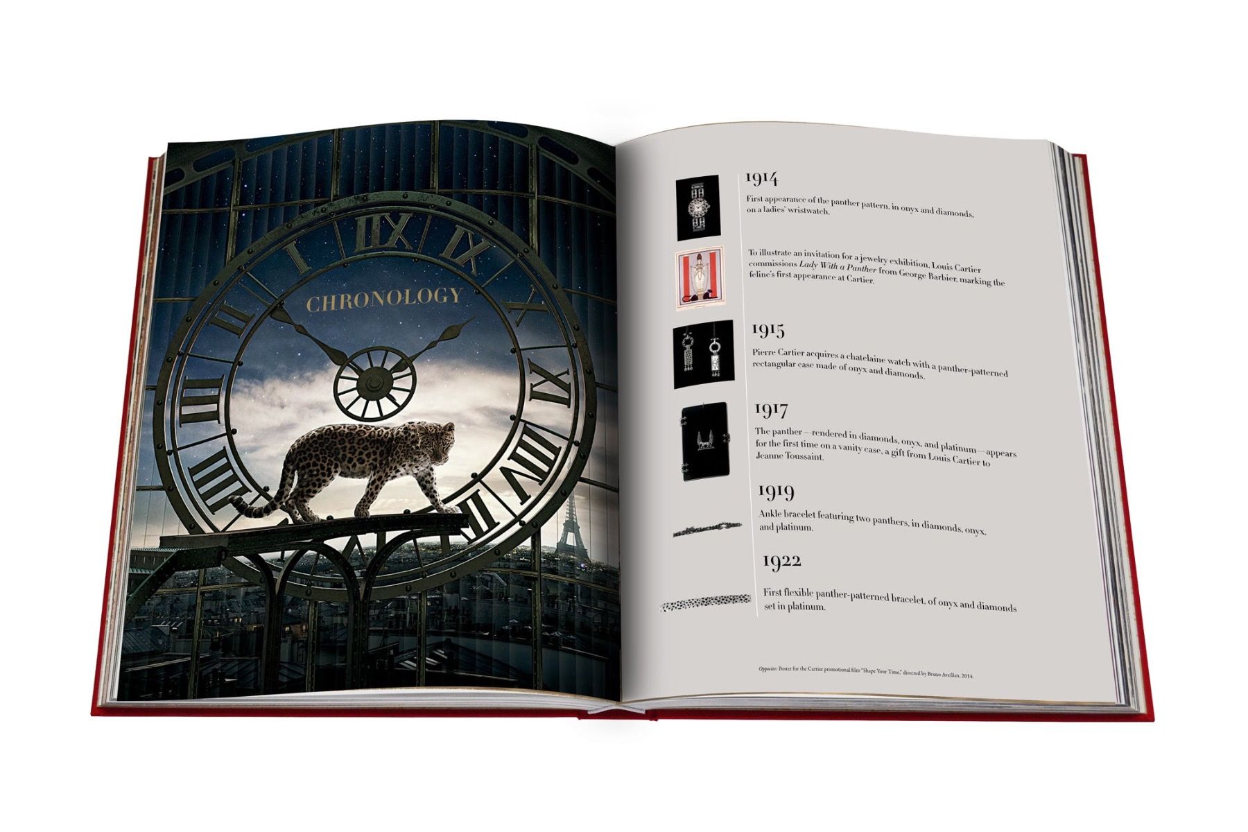 Assouline Cartier Panthère