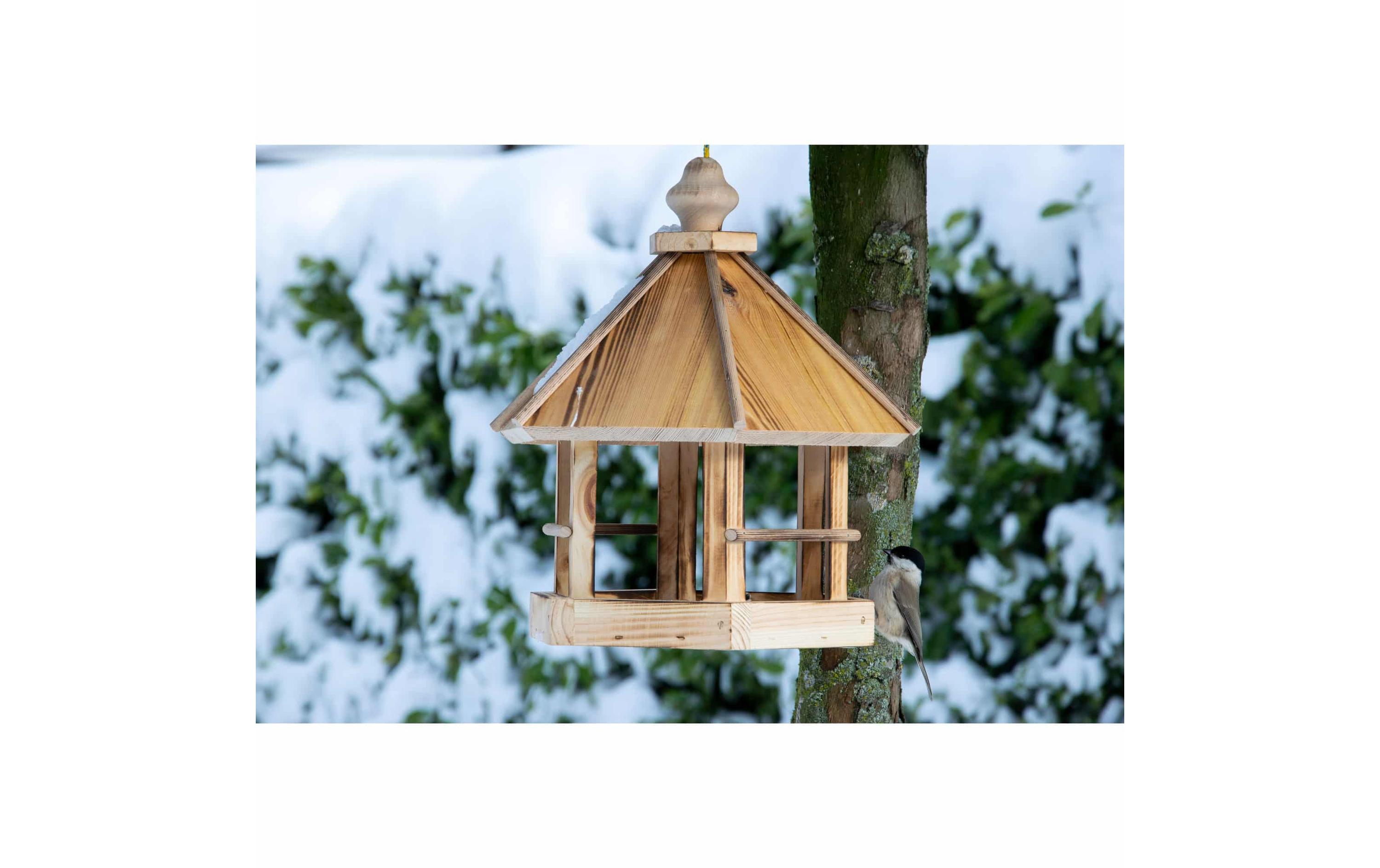 Futterspender Caliente zum Aufhängen, 29 x 29 x 34 cm, HolzFutterhaus mit Kordel