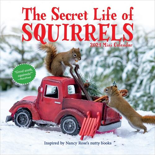 Secret Life of Squirrels Mini Calendar 2024: Delightfully Nutty Squirrels (Calendar)