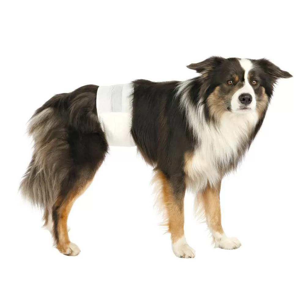 Trixie bleer til hanhunde - 12 stk