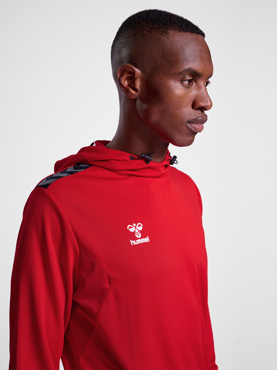 hmlAUTHENTIC PL HOODIE