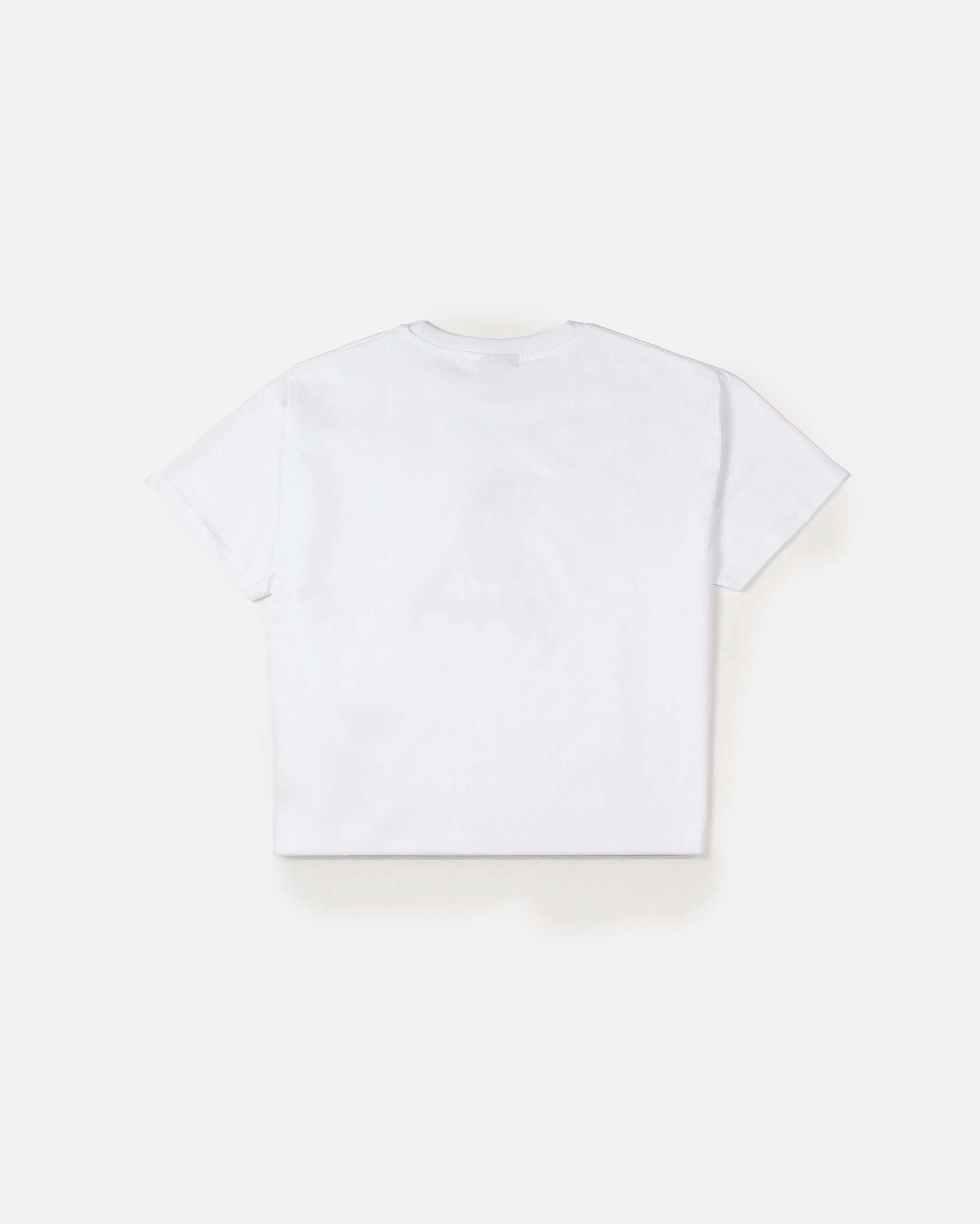 Patta x Joe Freshgoods Singer T-Shirt (White)