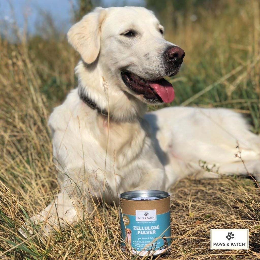 PAWS&PATCH ZELLULOSE Pulver für Hunde und Katzen