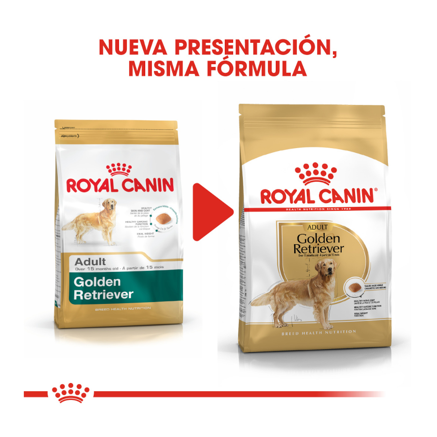 Ração Royal Canin Adult Golden Retriever para cães