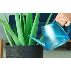 Arrosoir FUCHSIA, 1,5 litre