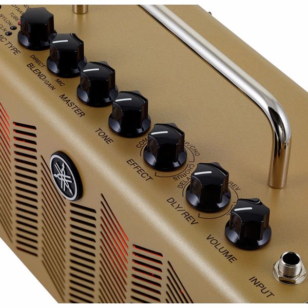 Yamaha THR5A