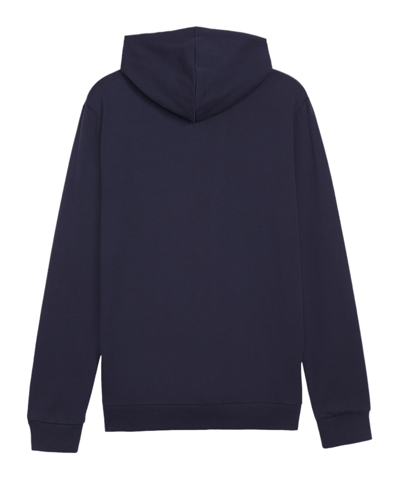 PUMA teamGOAL Casuals Hoody Blau F06