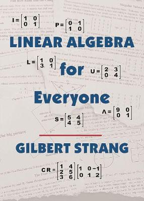 Linear Algebra for Everyone (Hardback)