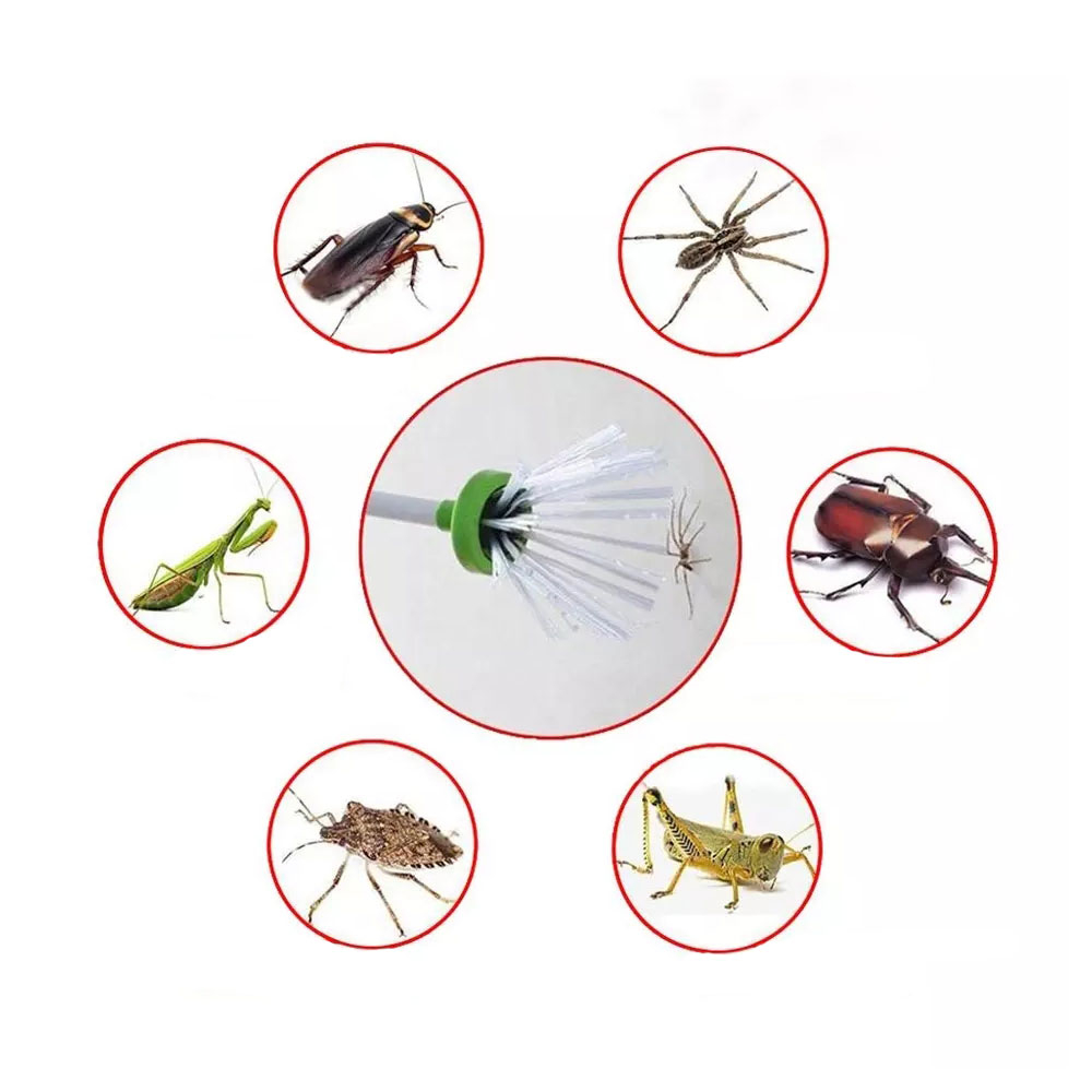 (65cm) Spinnen Fänger Insekten Greifarm - Weiss / Grün