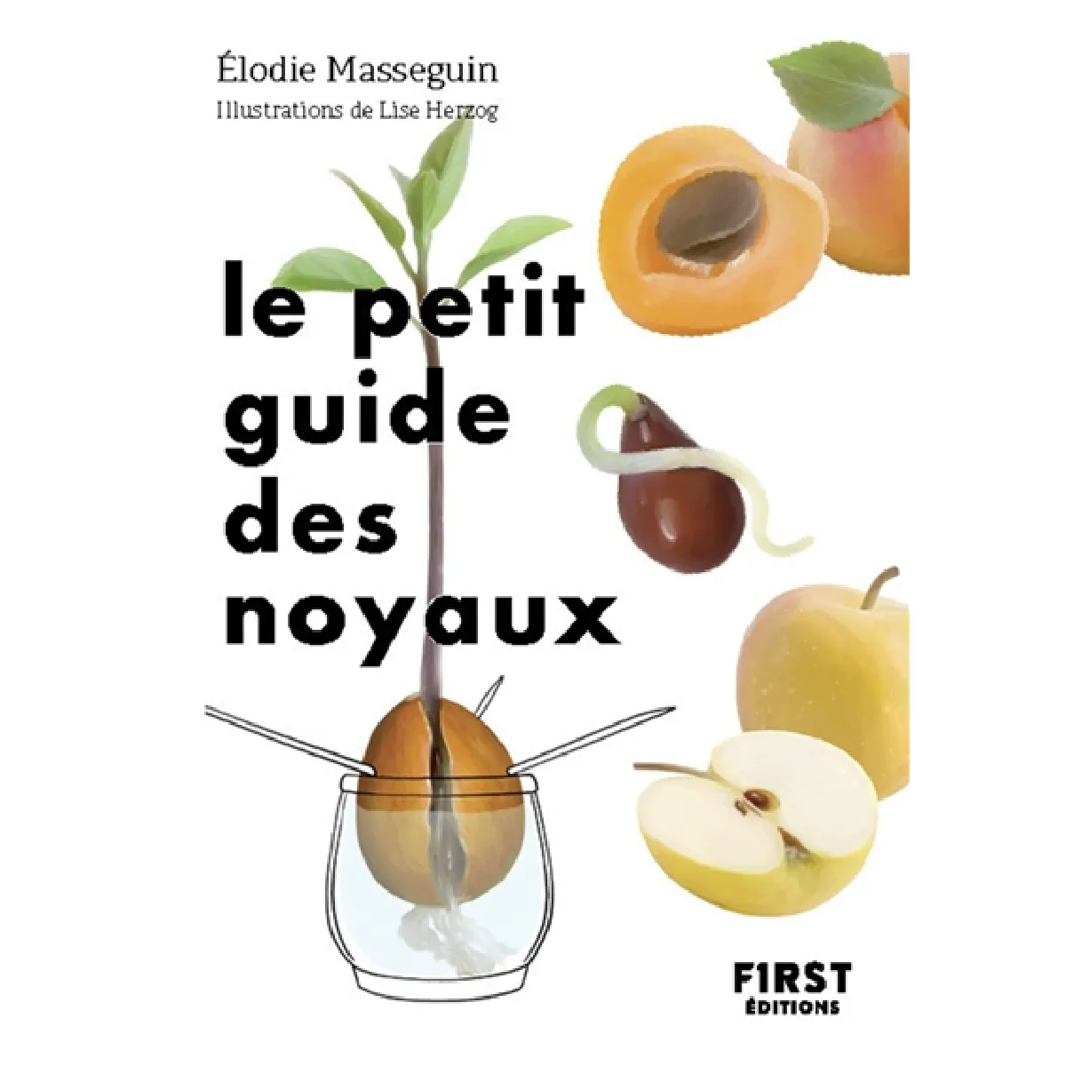 Le petit guide des noyaux : 30 noyaux et pépins à faire germer ! · Occasion