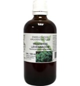 De Cruydhof Thuja occidentalis / levensboom tinctuur (100 ml)