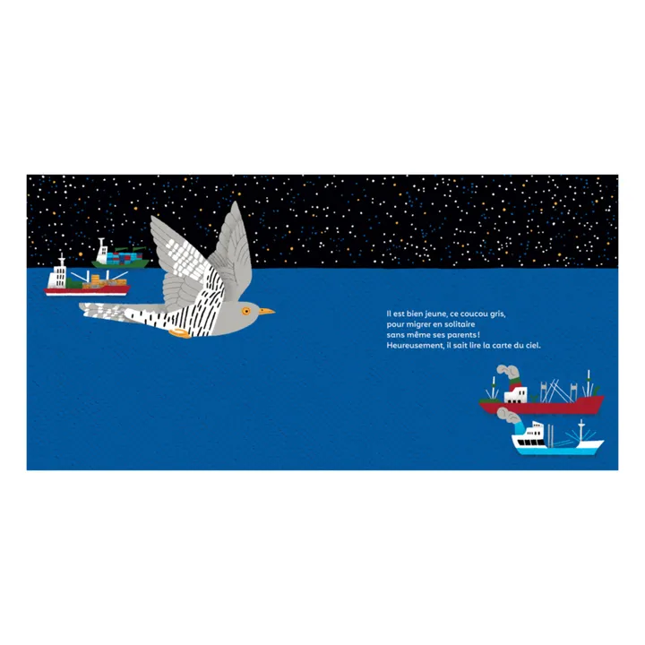Ricochet Editions Livre Les P'tits Voyageurs