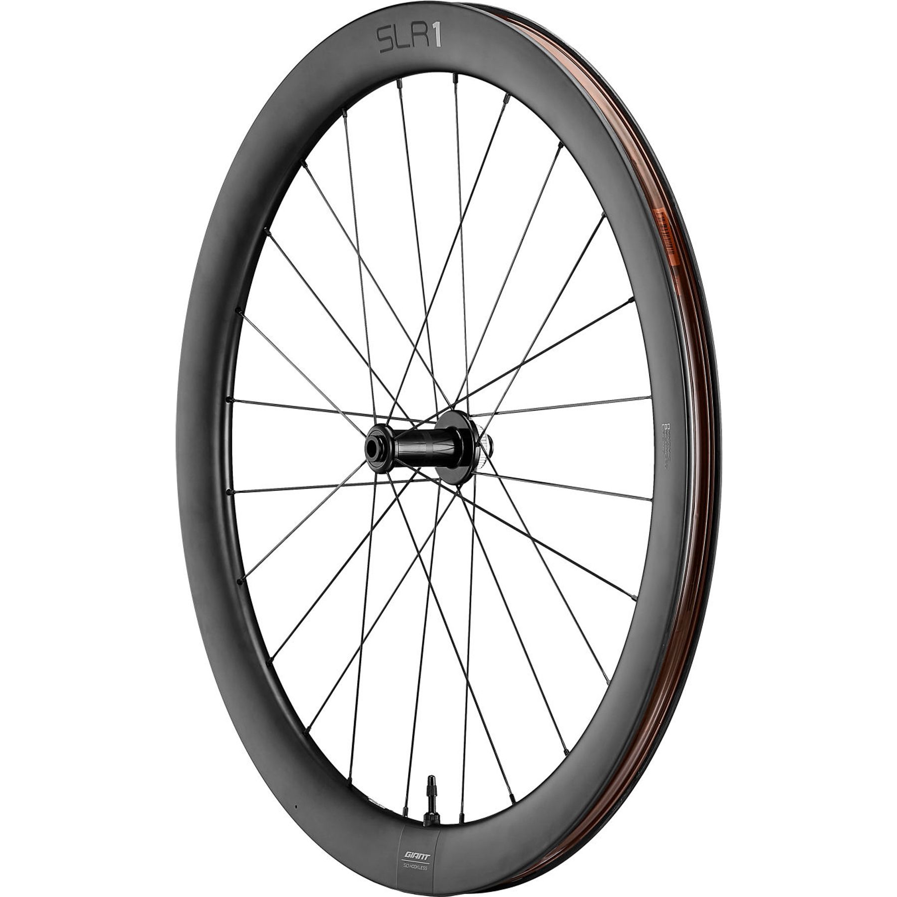 Giant SLR 1 50 Disc Racefiets Wielset