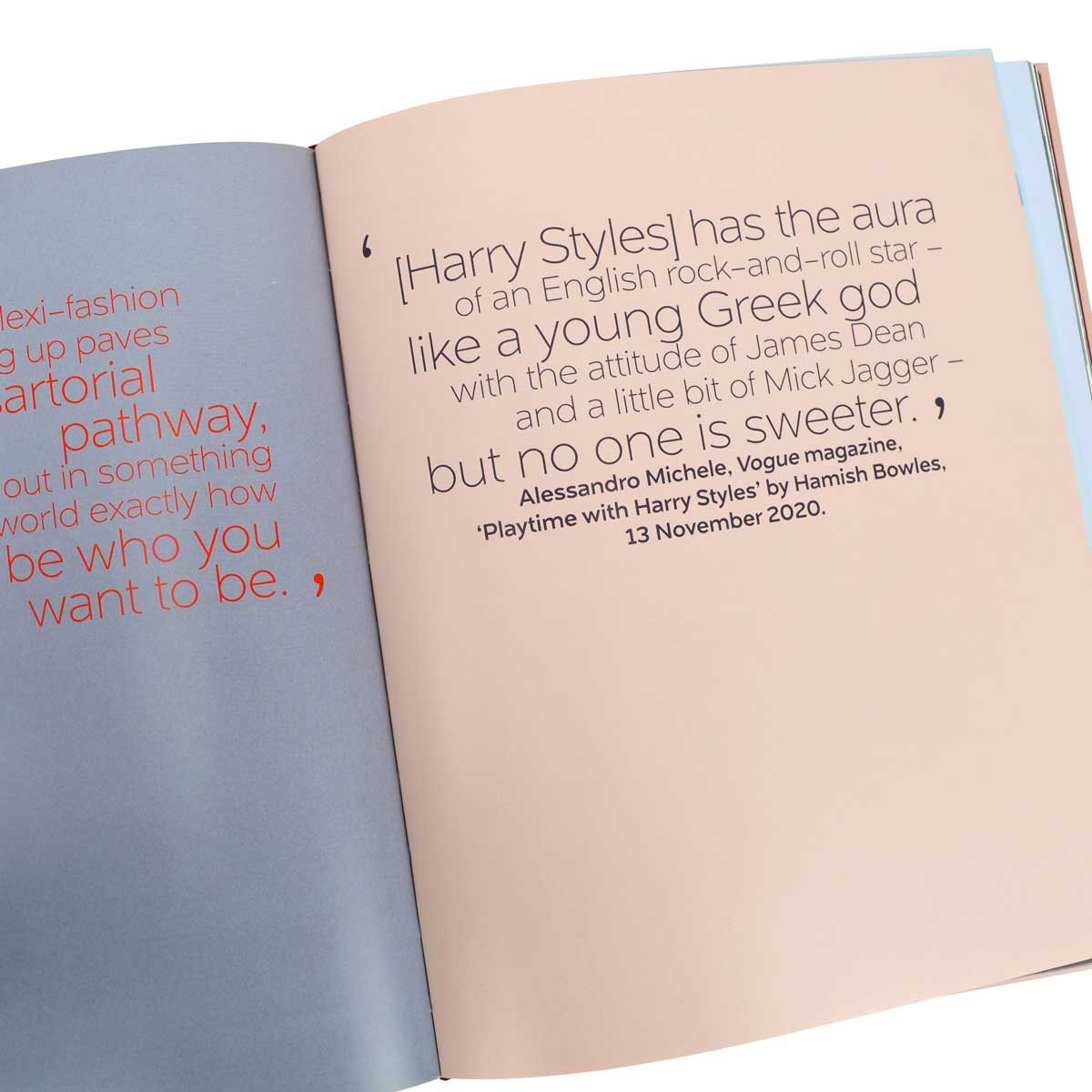 Harry Styles: and the clothes he wears - the clothes they wear (Hardback)