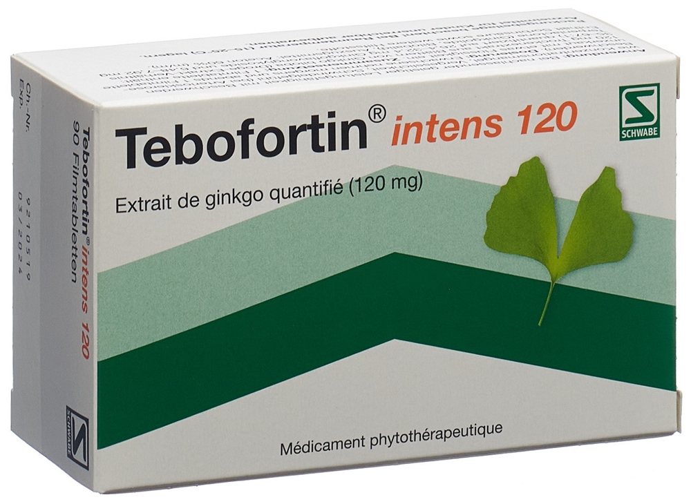Tebofortin intens 120 Filmtabl 120 mg Blist 90 Stk