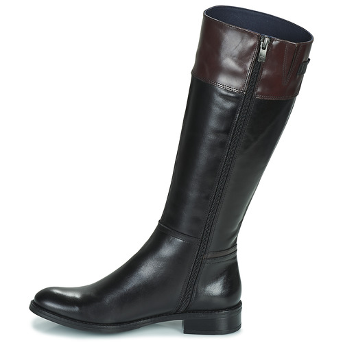 Dorking - TIERRA - Noir / Marron