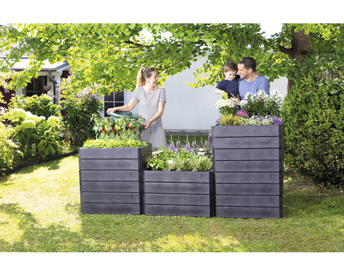 Klassieke verhoogde tuinbak GARANTIA ERGO Quadro Module L 80 x 80 x 25 cm hout