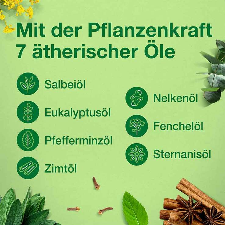 Salviathymol N Madaus Flüssigkeit, 2x100  ml