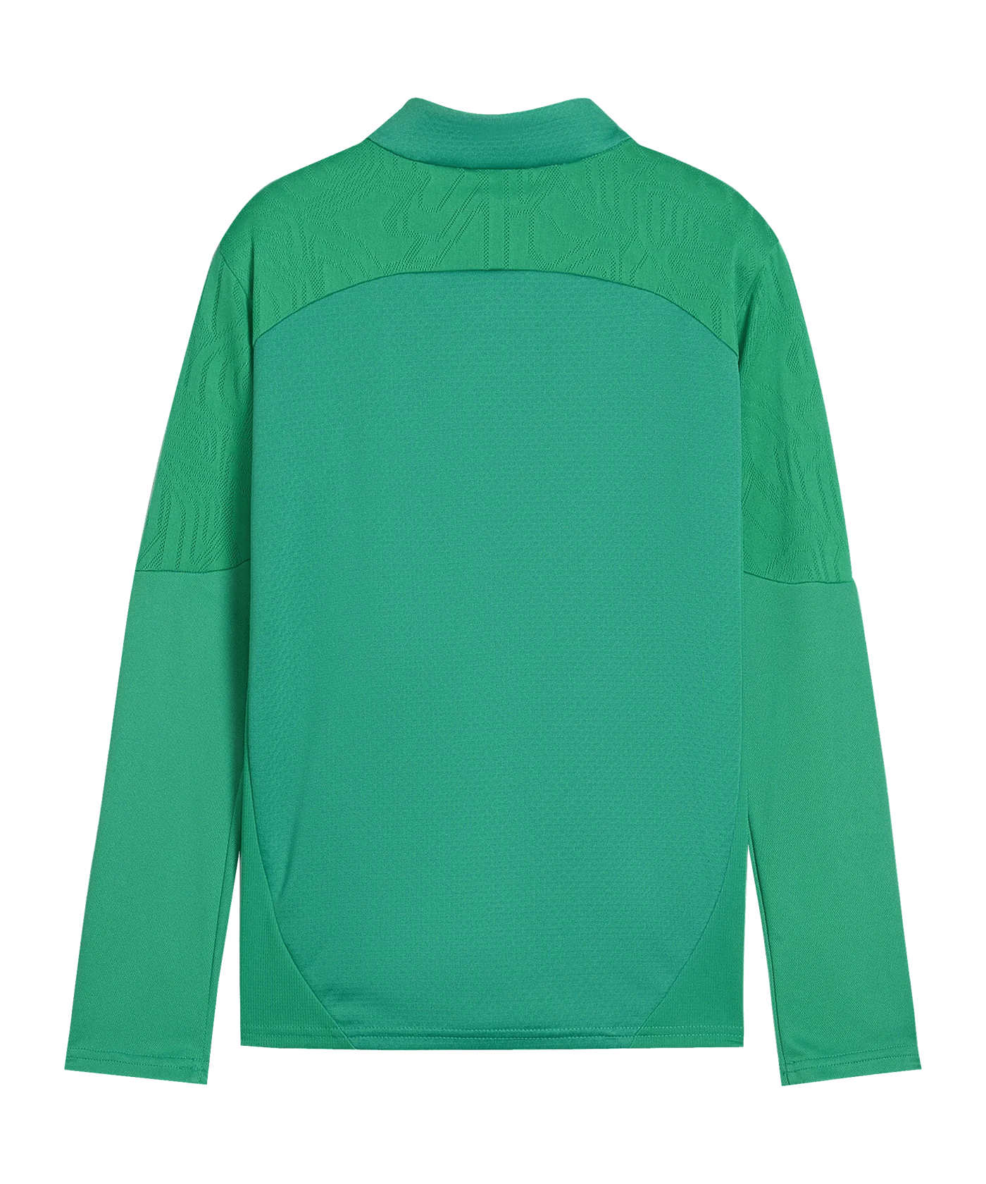 PUMA SK Rapid Wien Sweatshirt Kids Grün F05
