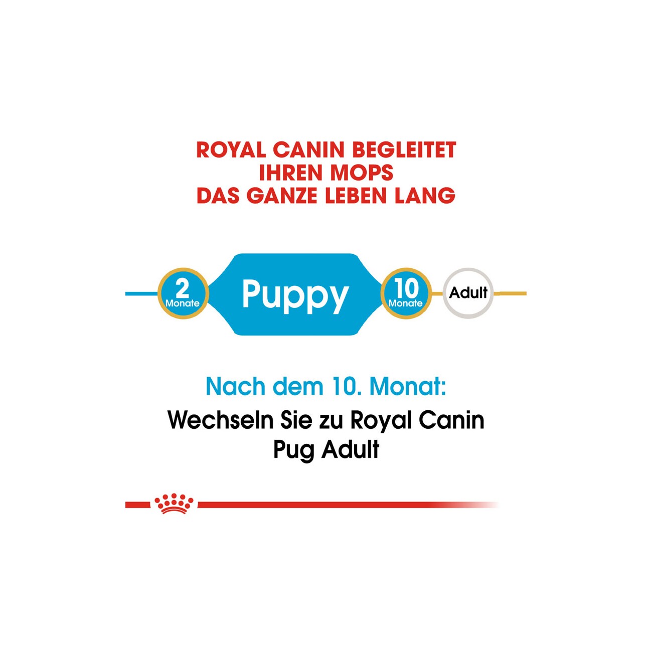 ROYAL CANIN Mops Puppy 1,5 kg