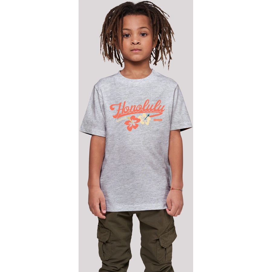 F4NT4STIC T-Shirt Honolulu heather grey