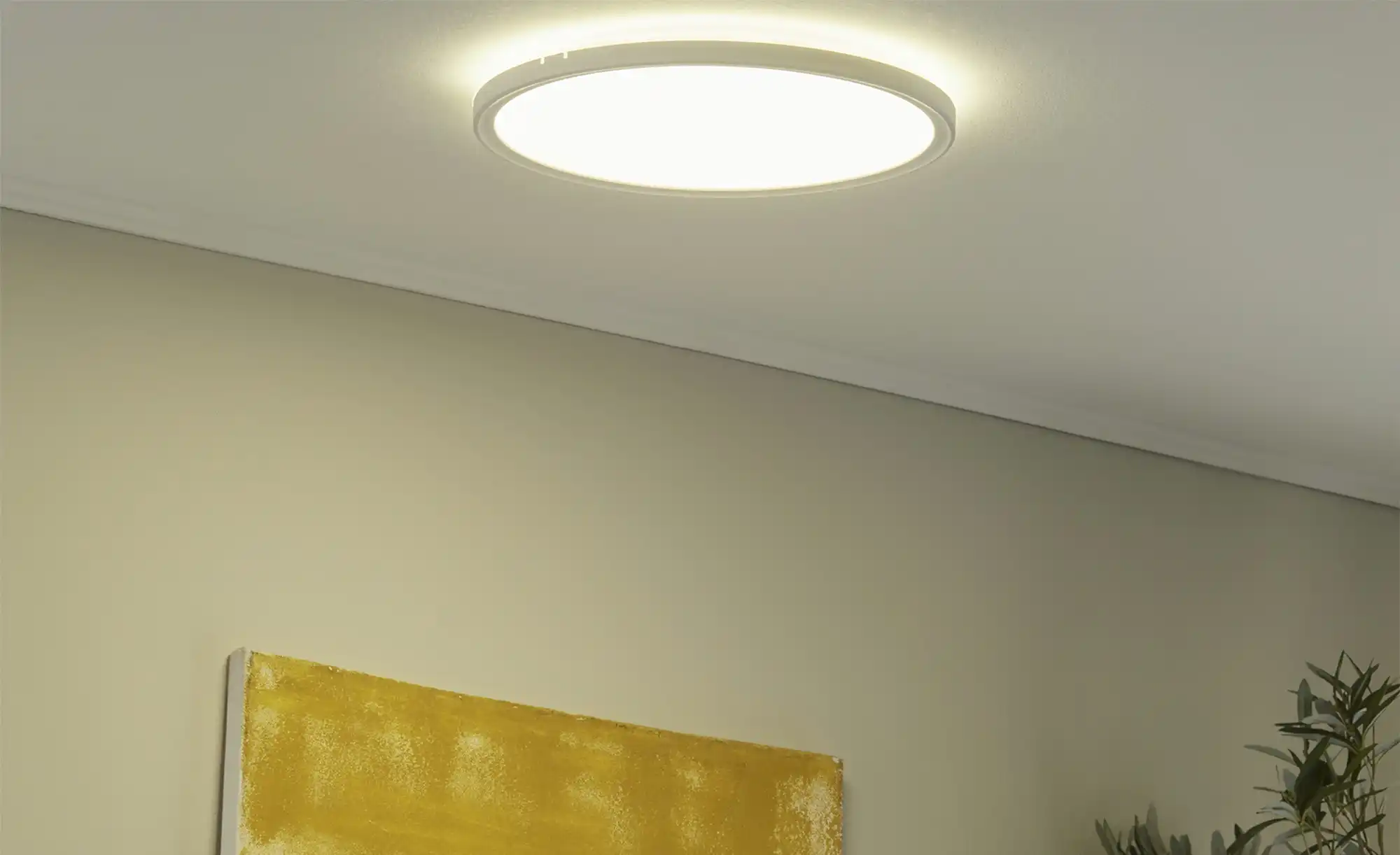 LED- Panel weiß rund, mit Hintergrundbeleuchtung