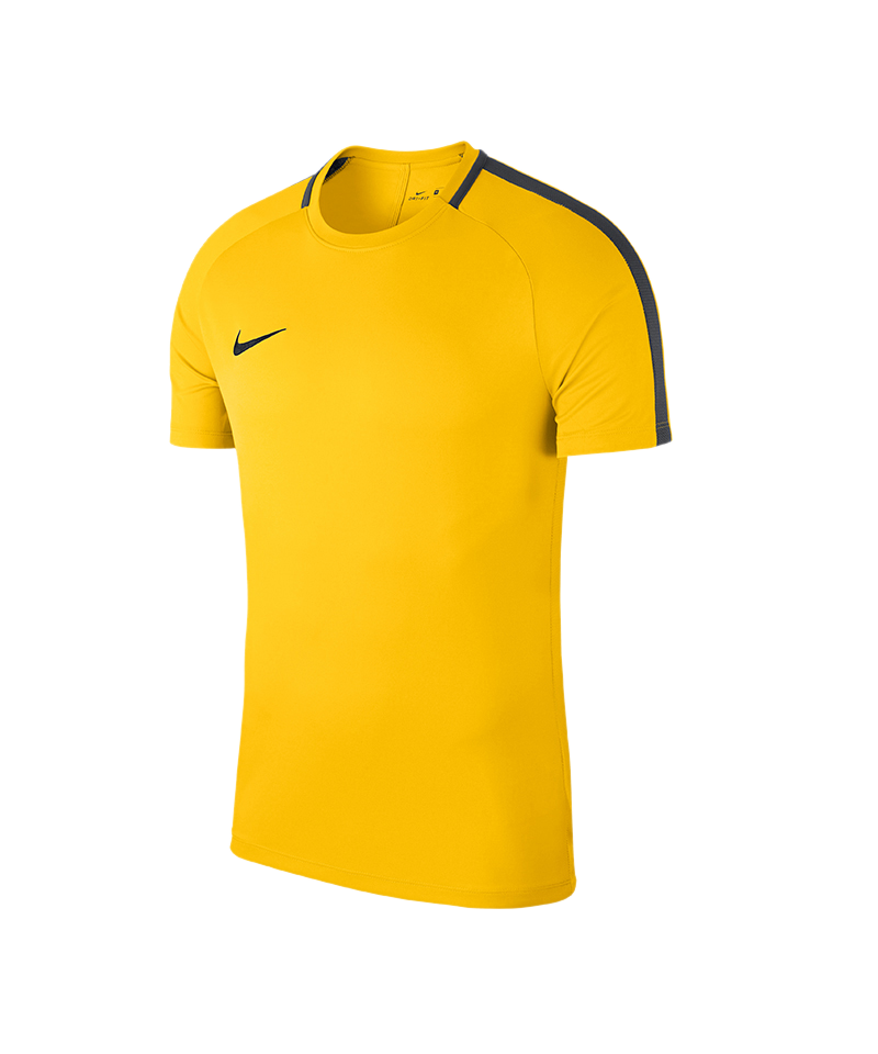 Nike Academy 18 T-Shirt Gelb F719