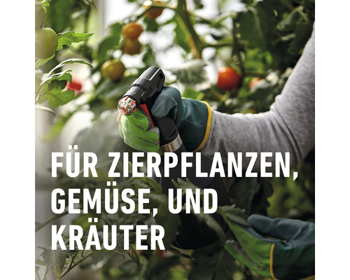 Organisch Insectenvrij Neem COMPO Concentraat 30 ml