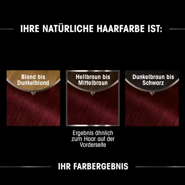 Dauerhafte Haarfarbe Coloration 4.62 Kaschmirrot Vorteilsset