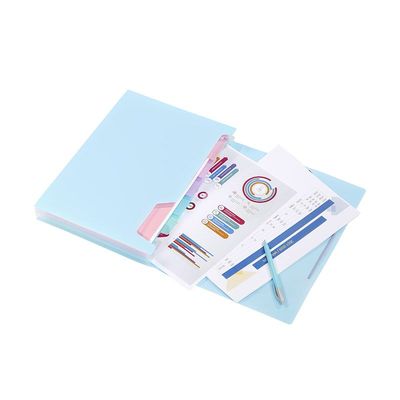 Viquel Rainbow Pastel - trieur à soufflet - pour A4 - à onglets - disponible en différents coloris