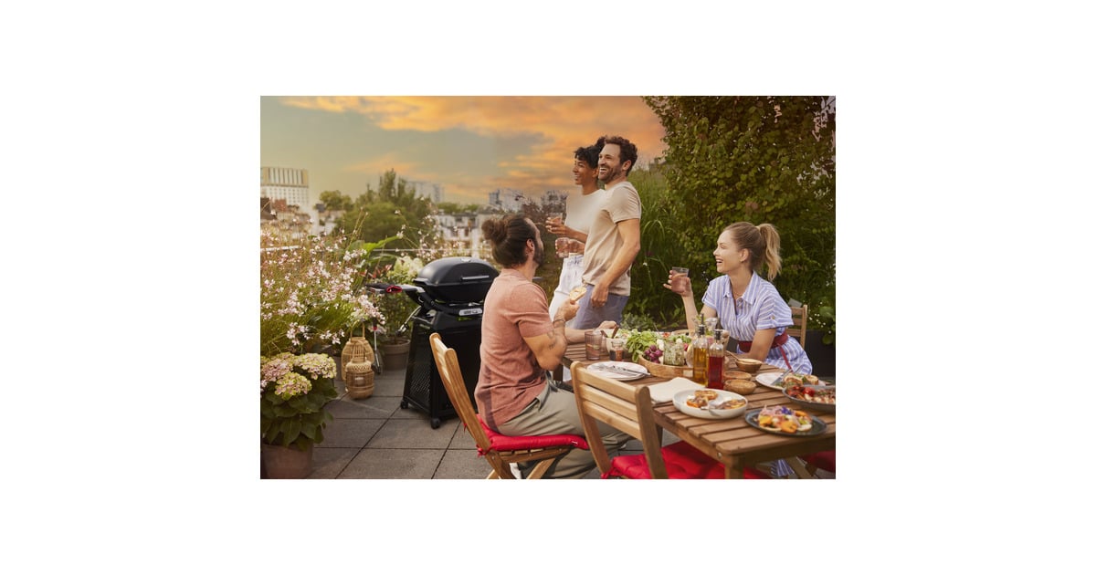 WeberQ 2800N+ gasbarbecue met onderstel  (Zwart, 2 Branders | Propaan/butaan)